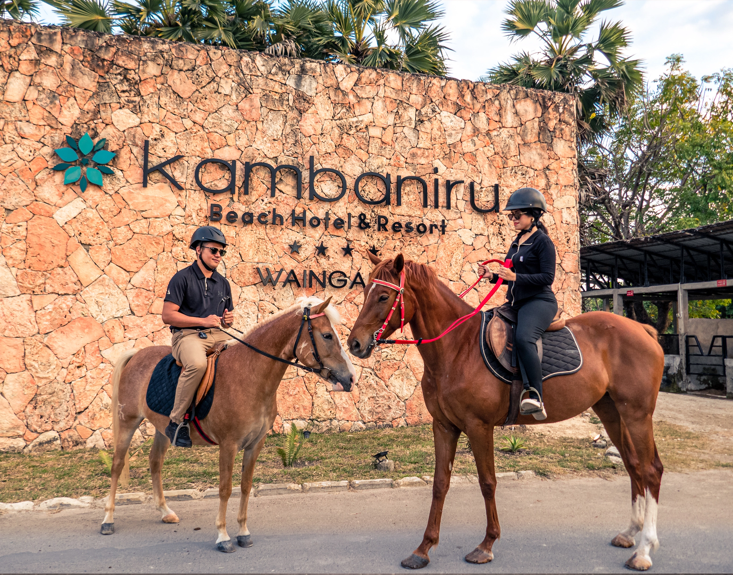 Horse Riding Activity